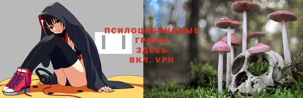 гидра Балахна