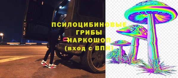 индика Белоозёрский