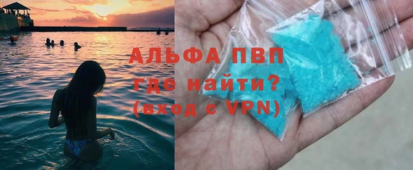 индика Белоозёрский