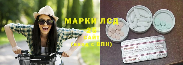 ГАЛЛЮЦИНОГЕННЫЕ ГРИБЫ Баксан